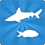 Grupo de Aquariums